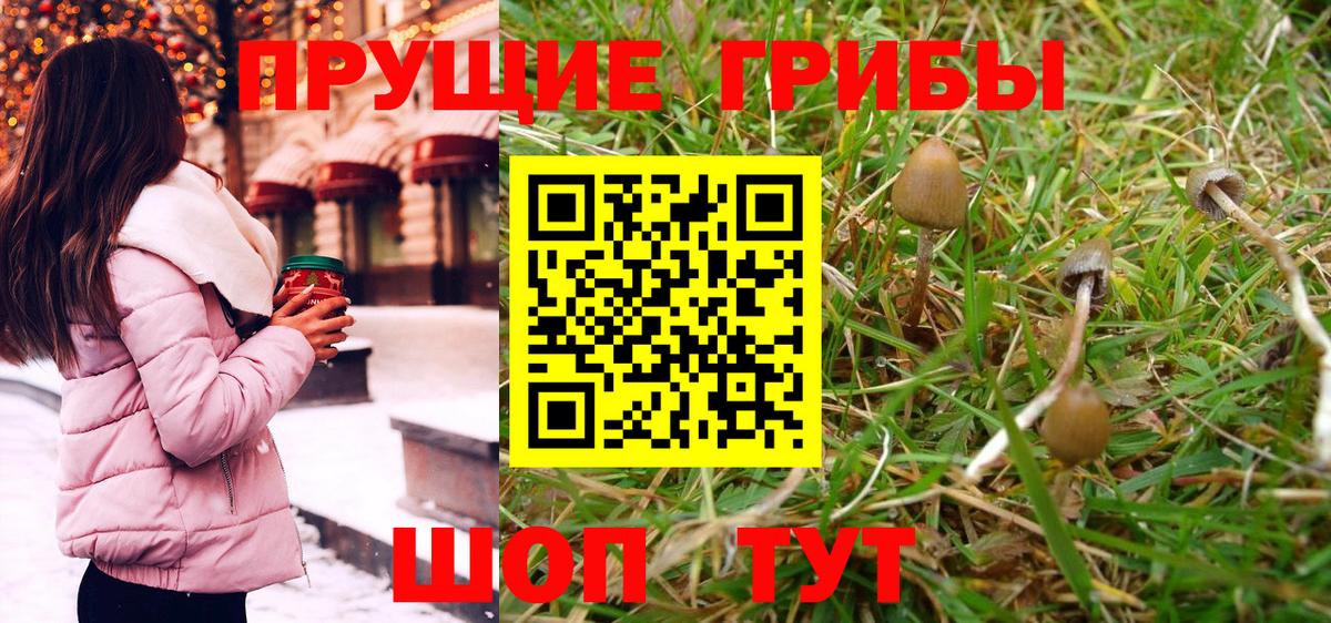 Псилоцибиновые грибы Cubensis Обнинск